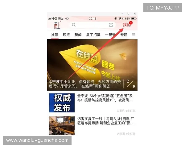 稳胆是什么意思 品牌入口下载评测避坑防骗指南